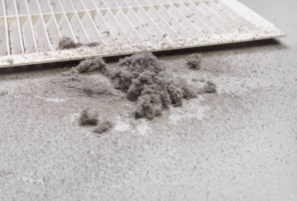Air Duct Mold Removal in Grand Saline, TX
